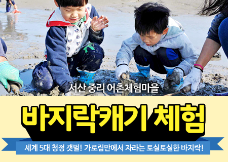 [중리마을]바지락캐기 체험