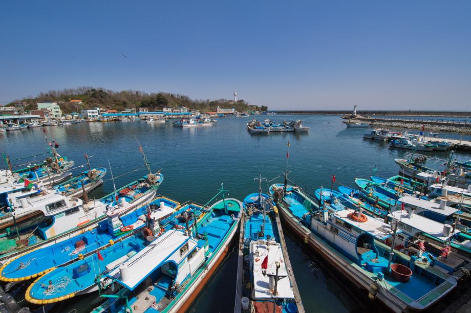 강원 고성 대진항