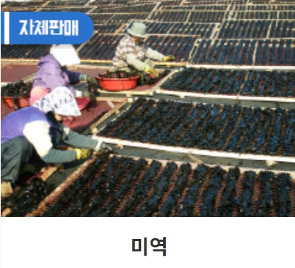 [동삼마을]미역