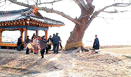 [모항마을]당산제