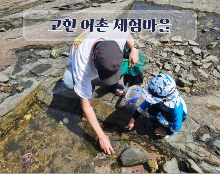 [고현마을]고현어촌체험마을