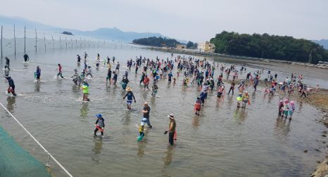 [문항마을]개막이(고기잡이)체험