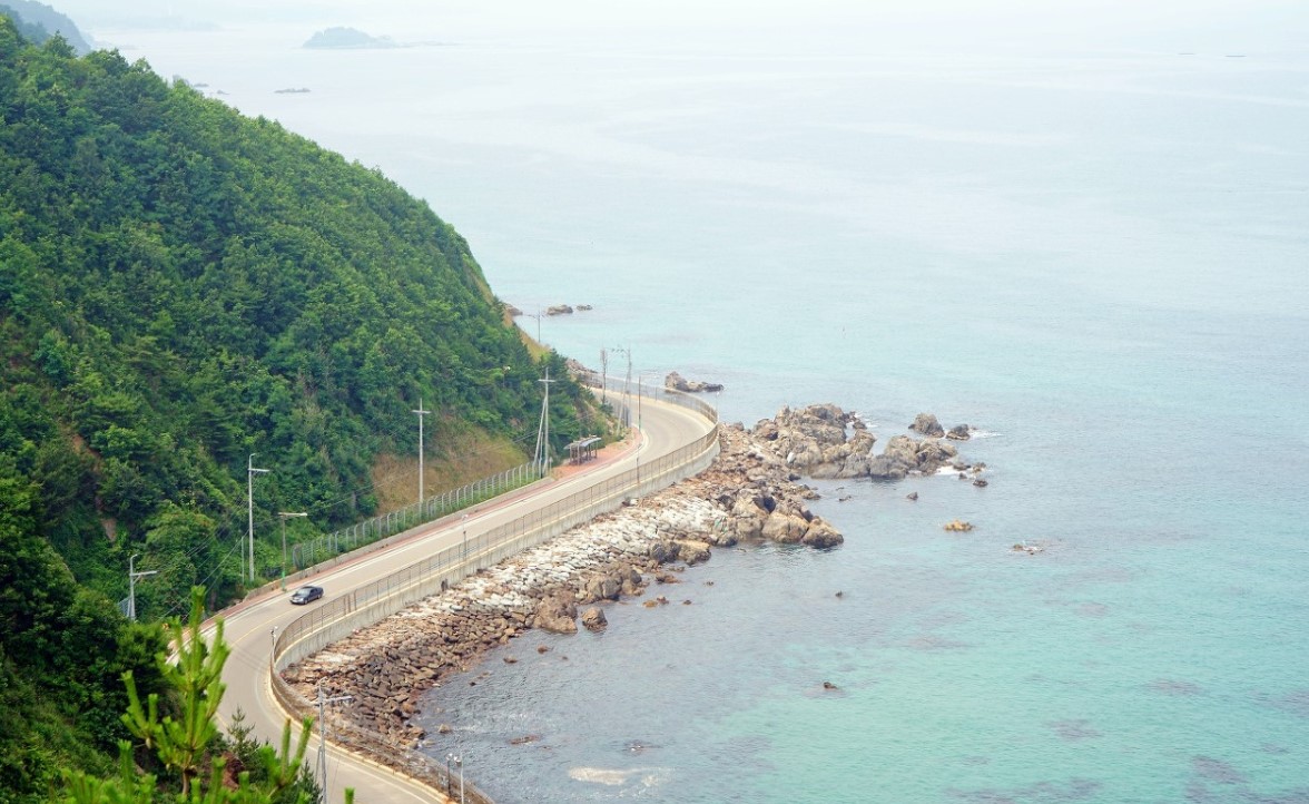 해파랑길 49코스