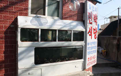 일번지펜션민박