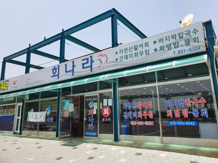 회나라