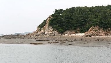 대무의도