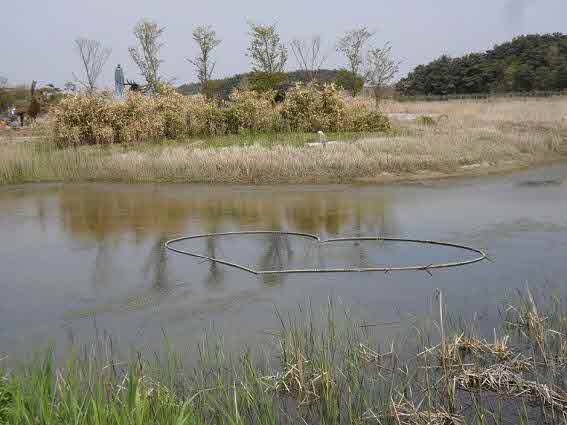 변산마실길 8코스