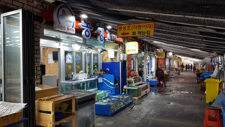 동성호(낚시)
