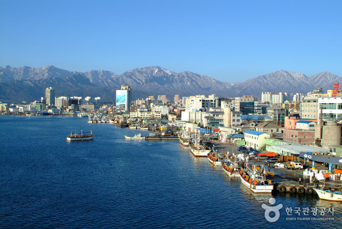 동명항
