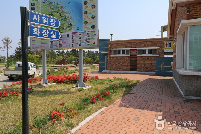 송지호 오토캠핑장(송지호오토캠핑장해수욕장)