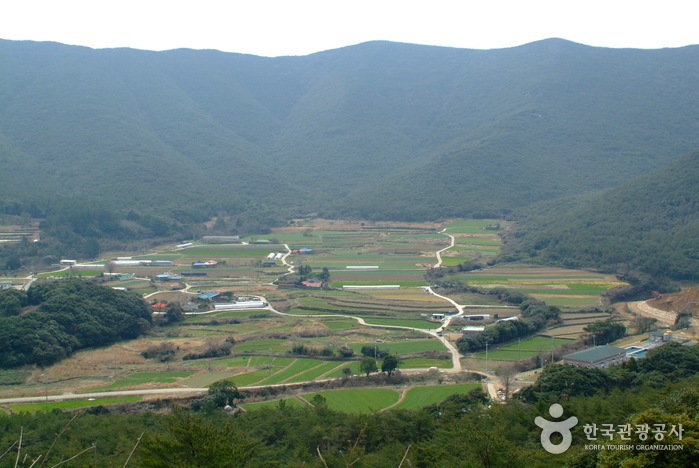 동천석실