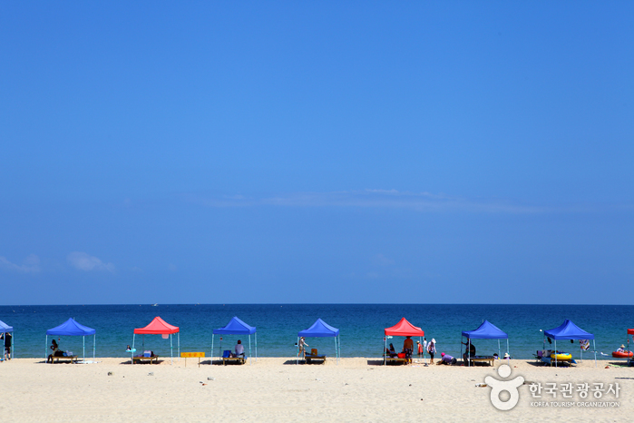 송지호 해수욕장