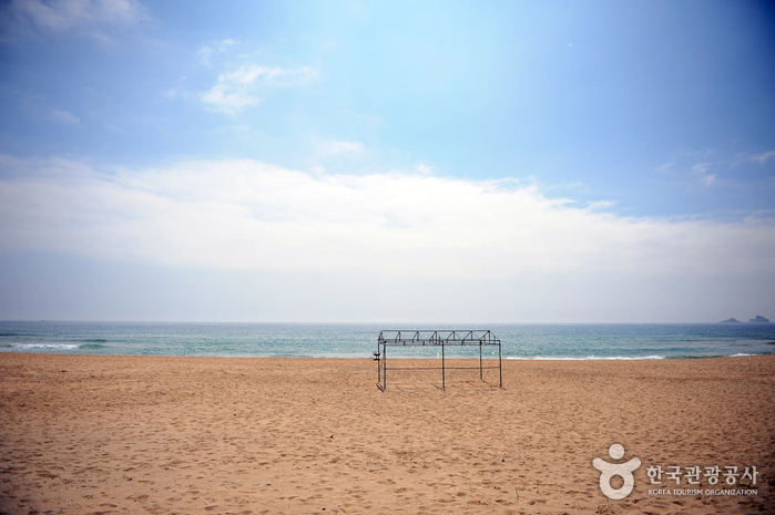 송지호 해수욕장