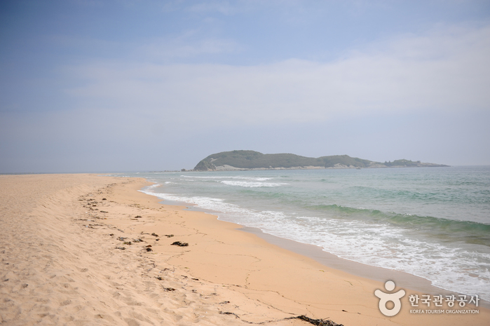 송지호 해수욕장