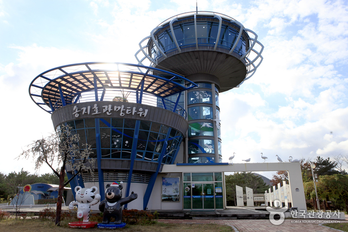 송지호관망타워