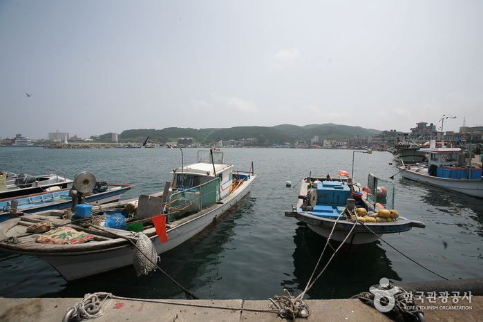 주전항. 정자항. 당사항