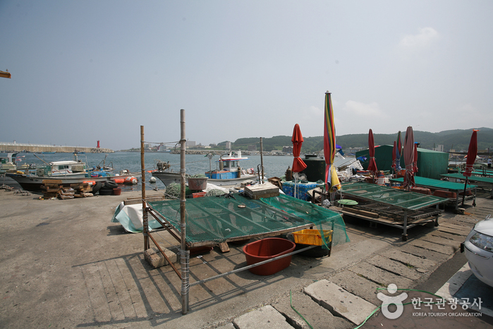 주전항. 정자항. 당사항