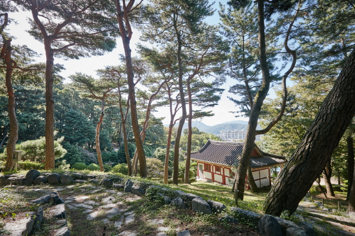 수양공원 (구 산성공원)