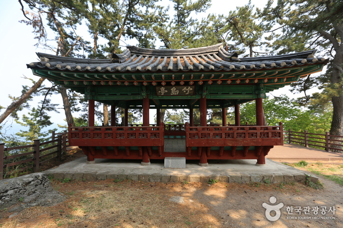 죽도정