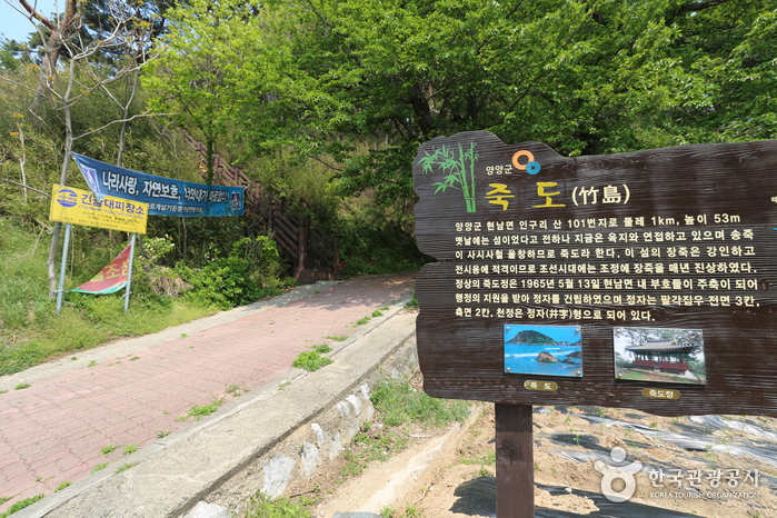 죽도정