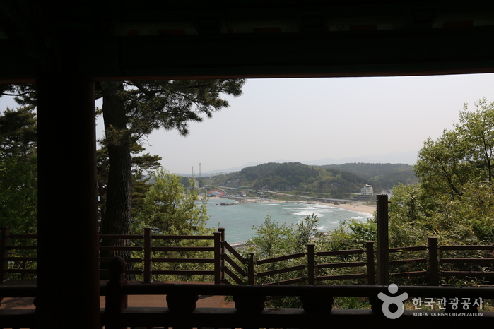 죽도정