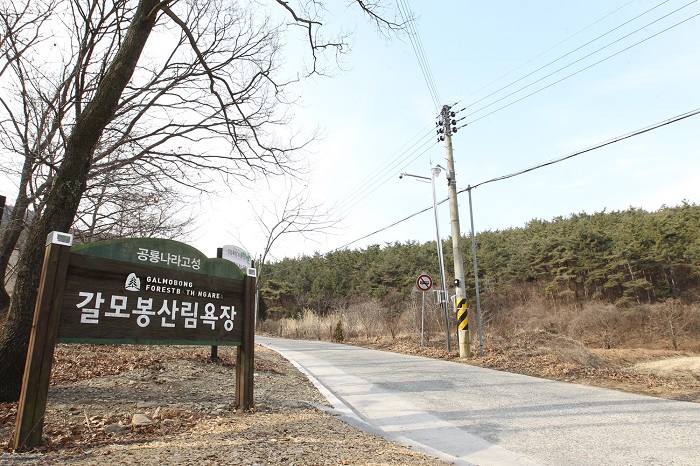 갈모봉 산림욕장