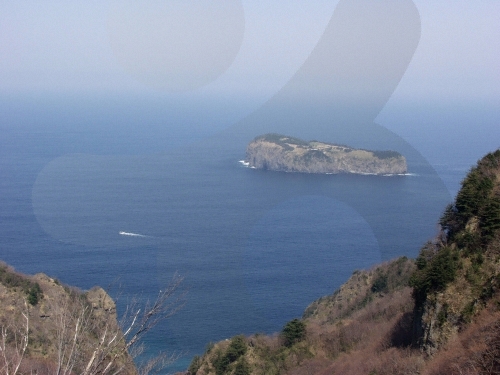 죽도(울릉)