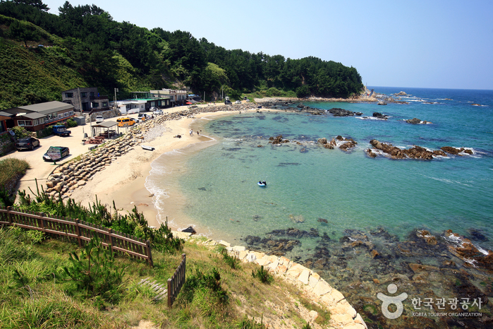 죽변항