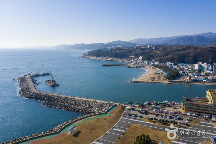 강구항