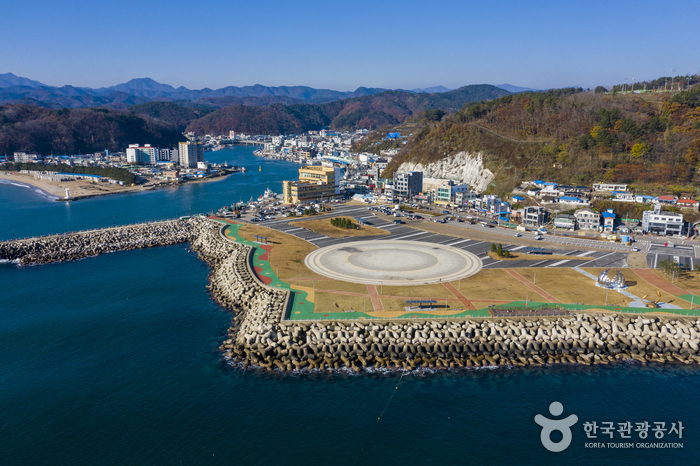 강구항