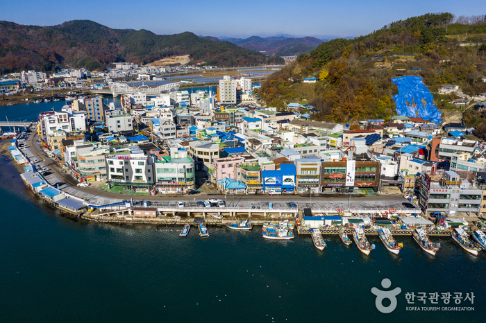 강구항
