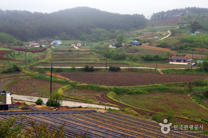 중리어촌체험마을