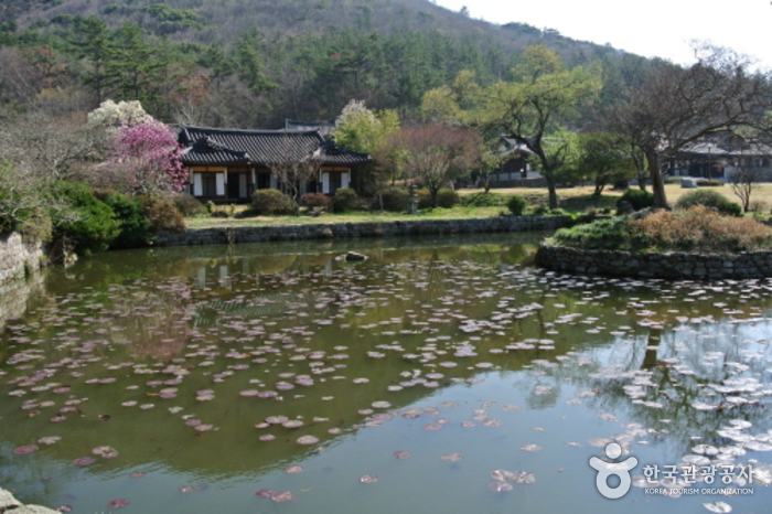 진도 운림산방