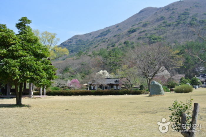 진도 운림산방