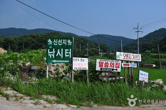 신선낚시터