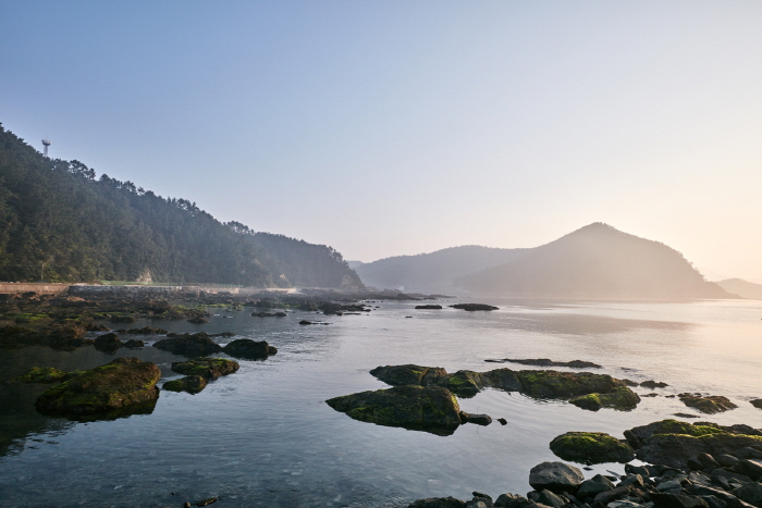 동고리해변