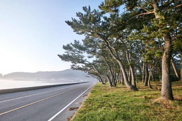 동고리해변