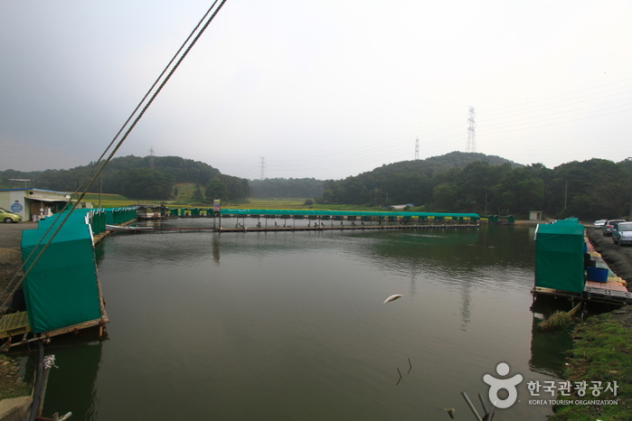 신촌낚시터