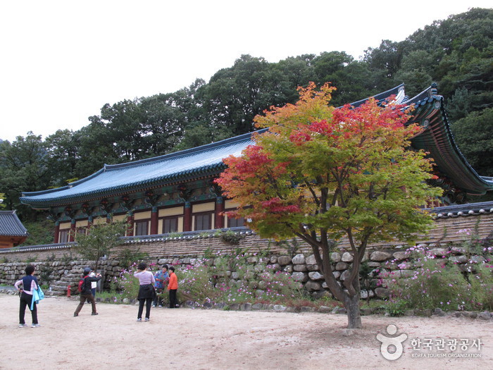 신흥사(설악산)