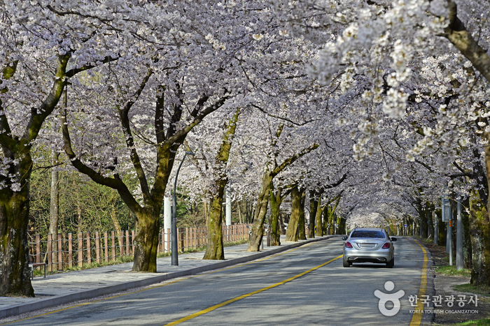 신흥사(설악산)