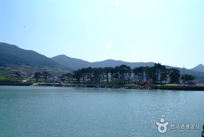 신흥해수욕장