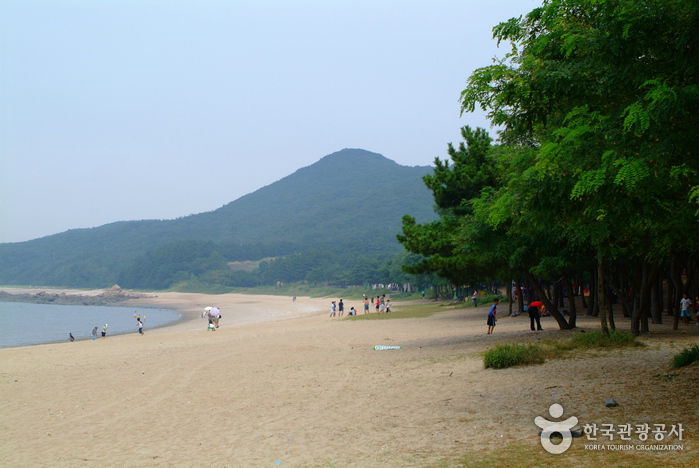 실미해수욕장