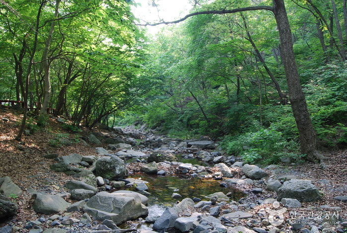 심연동계곡(성주계곡)