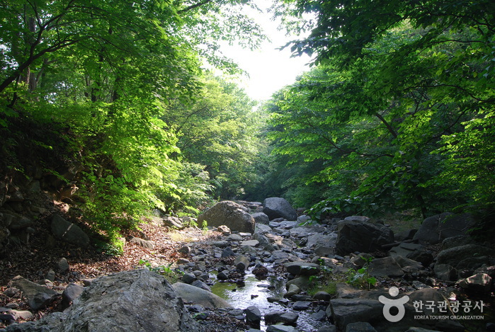 심연동계곡(성주계곡)