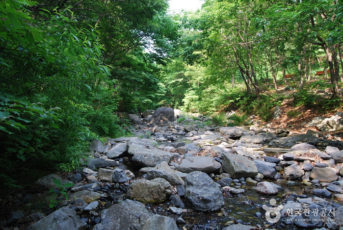 심연동계곡(성주계곡)