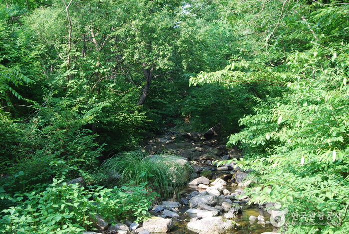 심연동계곡(성주계곡)