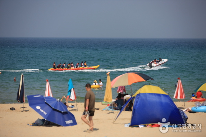 망상해변