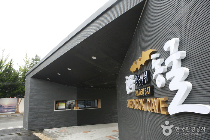 천곡황금박쥐동굴