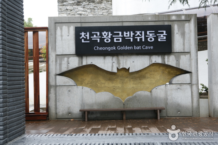 천곡황금박쥐동굴