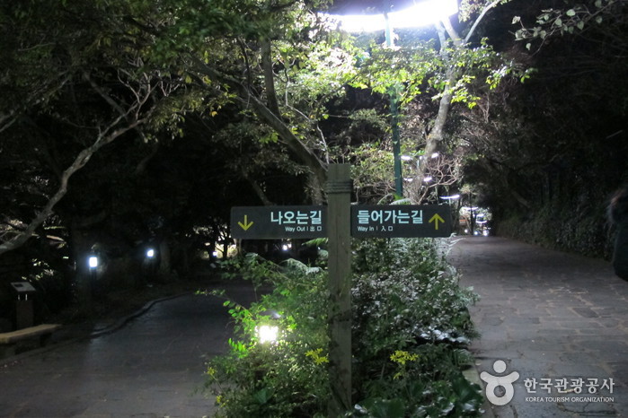 천지연폭포 (제주도 국가지질공원)